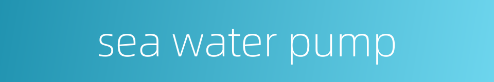 sea water pump的同义词