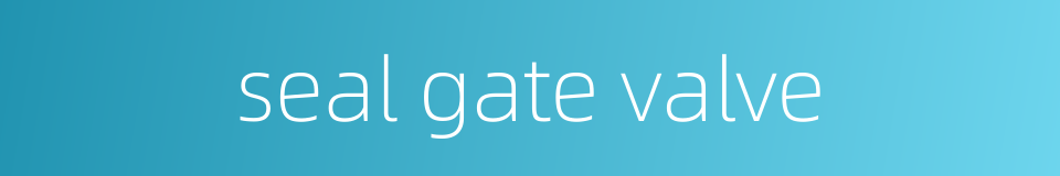 seal gate valve的同义词
