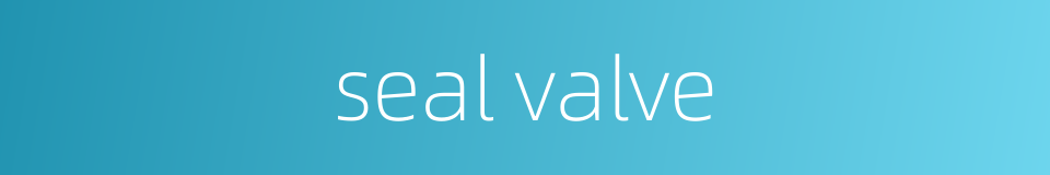 seal valve的同义词