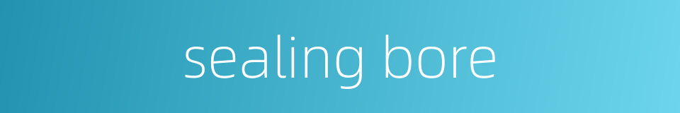 sealing bore的同义词