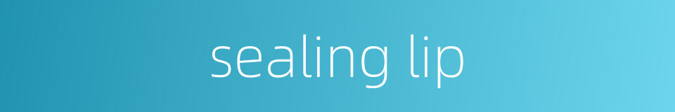 sealing lip的同义词
