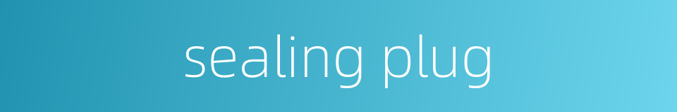 sealing plug的同义词