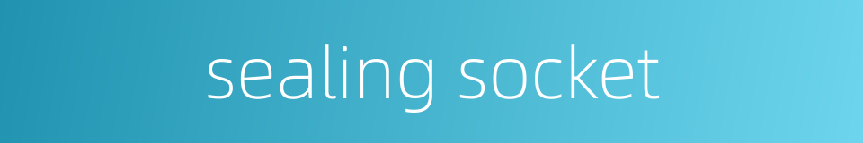 sealing socket的同义词