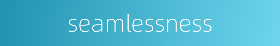 seamlessness的同义词