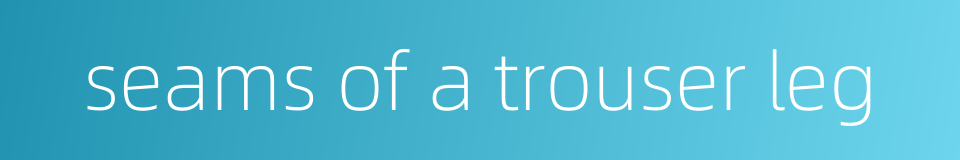 seams of a trouser leg的同义词