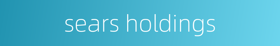 sears holdings的同义词