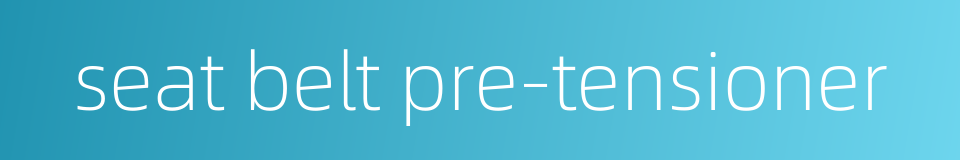 seat belt pre-tensioner的同义词