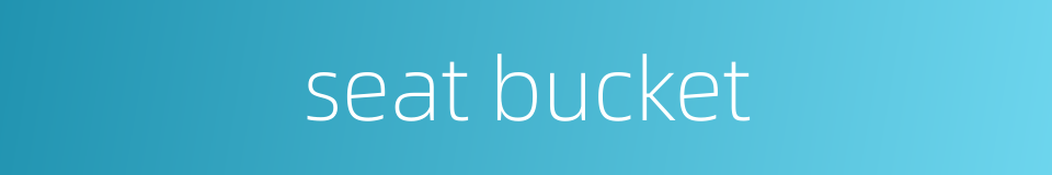 seat bucket的同义词