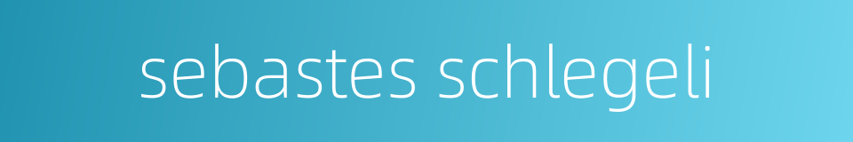 sebastes schlegeli的同义词