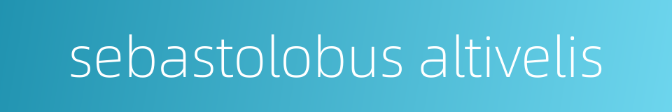 sebastolobus altivelis的同义词