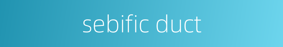 sebific duct的同义词