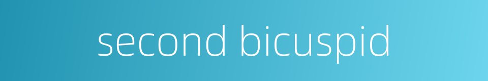 second bicuspid的同义词