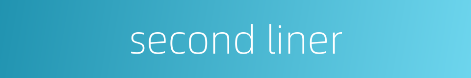 second liner的同义词