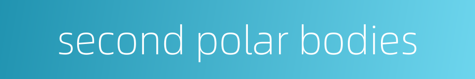 second polar bodies的同义词