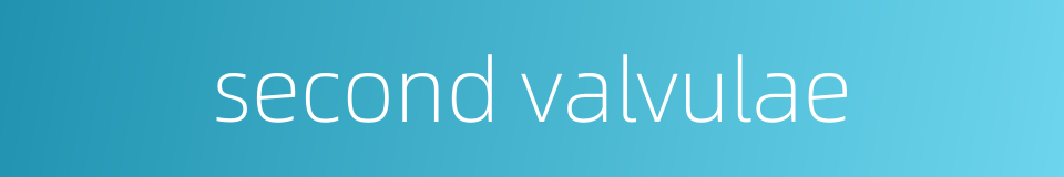 second valvulae的同义词