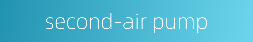 second-air pump的同义词