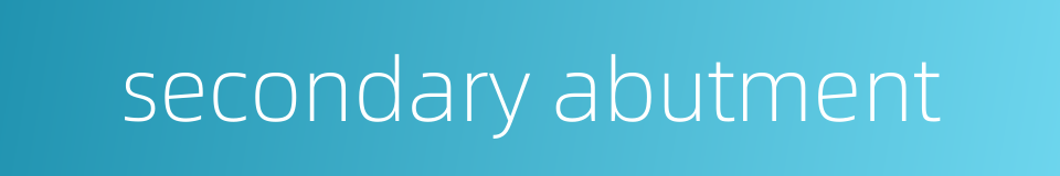 secondary abutment的同义词