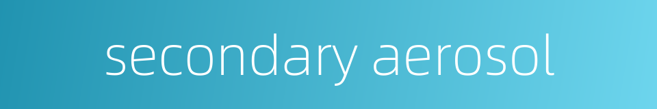 secondary aerosol的同义词