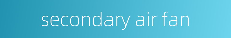 secondary air fan的同义词
