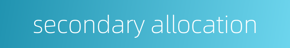 secondary allocation的同义词