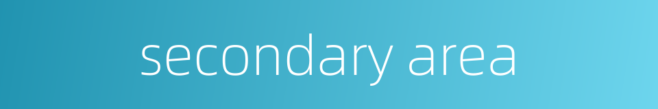 secondary area的同义词