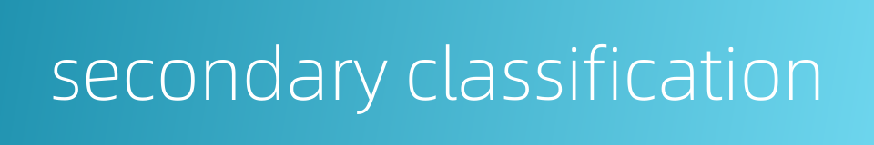 secondary classification的同义词