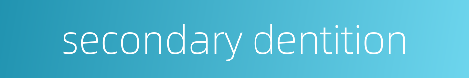 secondary dentition的同义词
