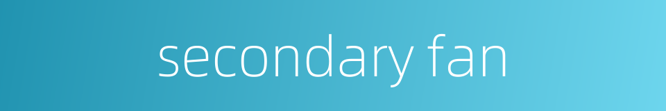 secondary fan的同义词