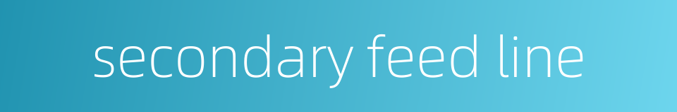 secondary feed line的同义词