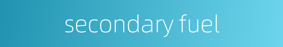 secondary fuel的同义词