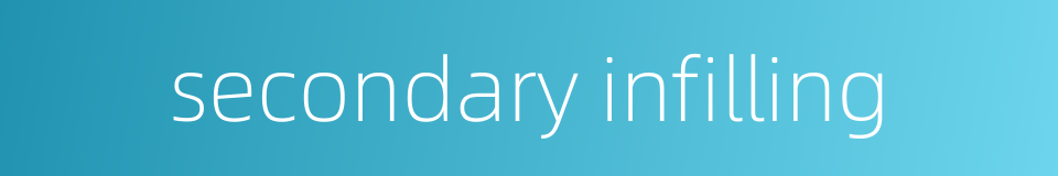 secondary infilling的同义词