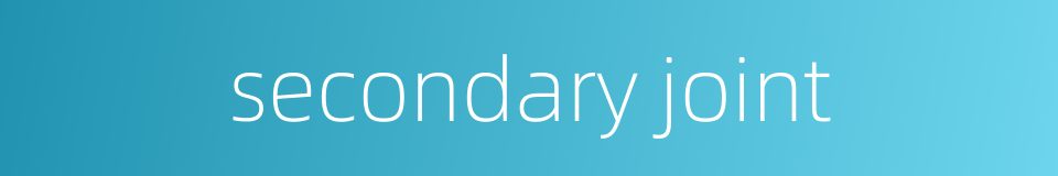 secondary joint的同义词