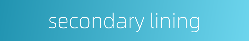 secondary lining的同义词