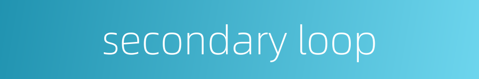 secondary loop的同义词