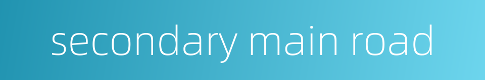 secondary main road的同义词