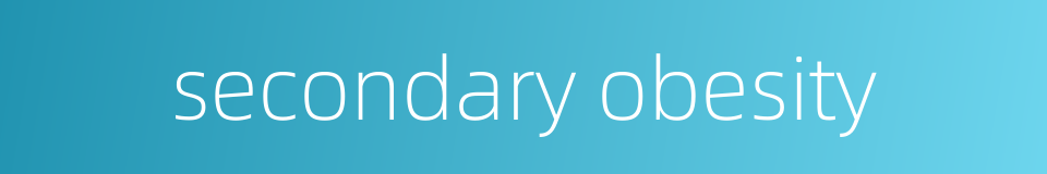 secondary obesity的同义词