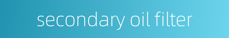 secondary oil filter的同义词