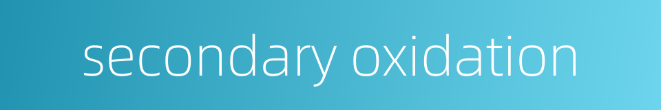 secondary oxidation的同义词