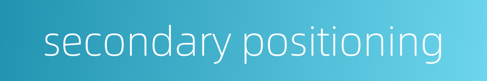 secondary positioning的同义词