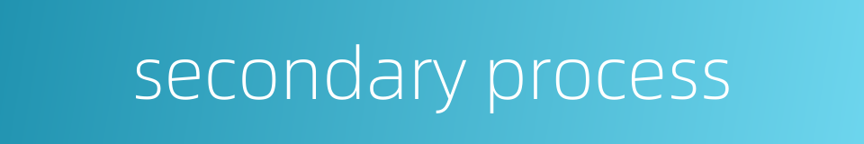 secondary process的同义词
