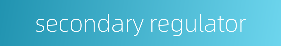 secondary regulator的同义词