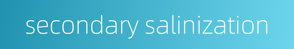 secondary salinization的同义词