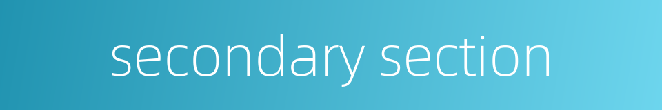 secondary section的同义词