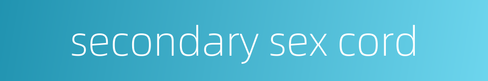 secondary sex cord的同义词