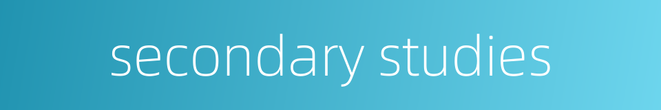 secondary studies的同义词