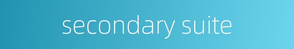 secondary suite的同义词