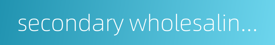 secondary wholesaling markets的同义词