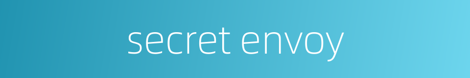secret envoy的同义词