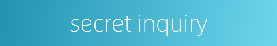 secret inquiry的同义词