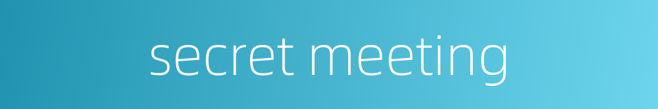 secret meeting的同义词